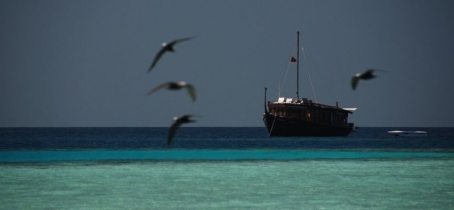 Traditional boat charter in the Maldives islands